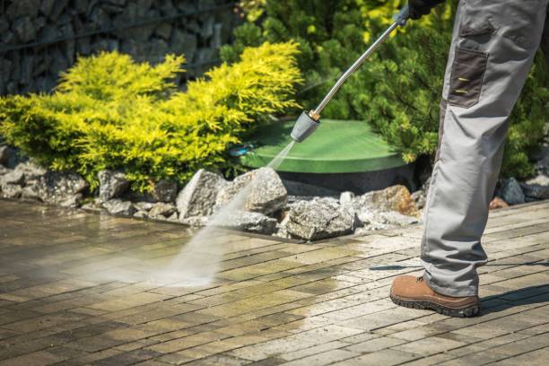 Best Soft Washing  in Thomasville, GA