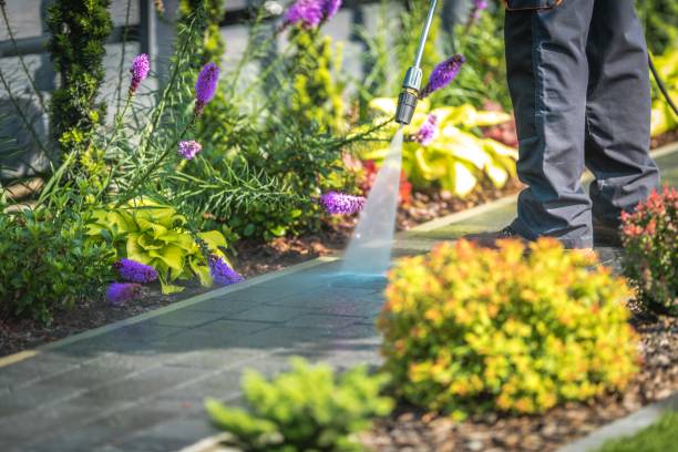 Best Fence Cleaning  in Thomasville, GA